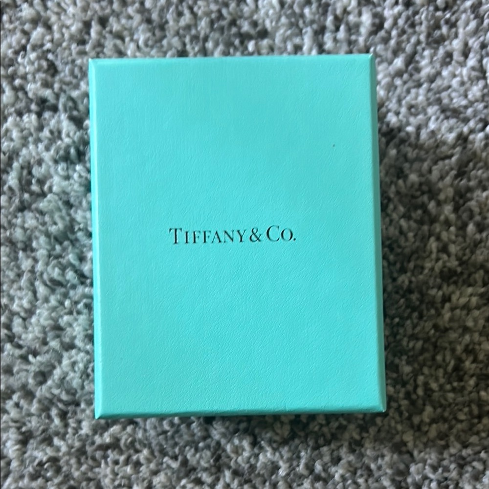 Tiffany & Co. Turquoise Gift Box and bag